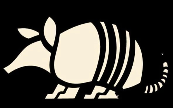 Payunia