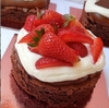 MINI BROWNIE