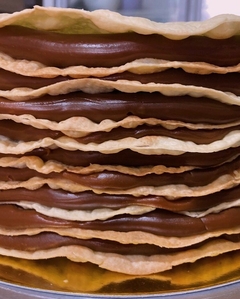 ROGEL en internet