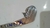 LAMINA TRAMBUADOR AÇO INOX OPALA CARAVAN SELETORA DESENHO ORIGINAL EM INOX - comprar online