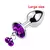 Plug anal com corrente