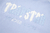 Imagem do Conjunto Trapstar Chenille Decoded Short Set "Light Blue"
