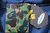 Imagem do BAPE Camo Shark WGM Full-Zip Hoodie "Blue Camouflage"