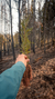 compromiso ReForest 