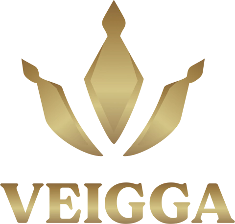 VEIGGA