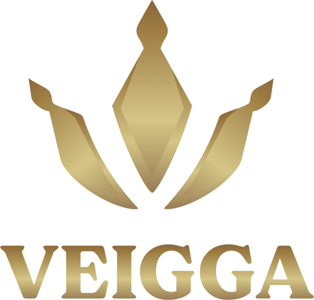 VEIGGA