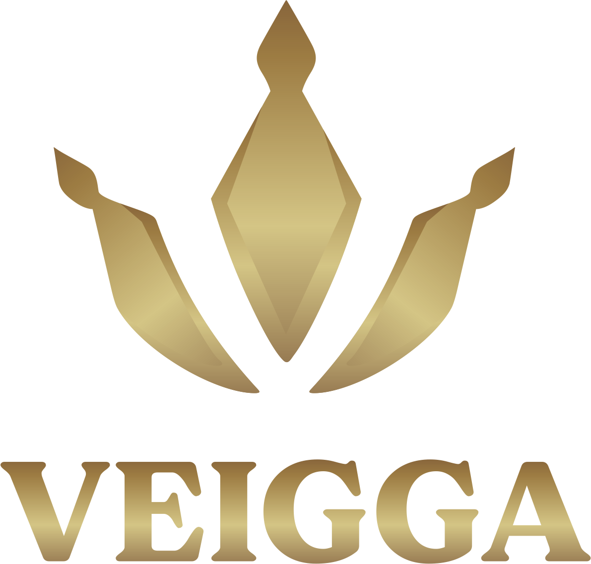 VEIGGA