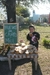 Carrusel Natureza