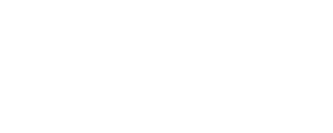 Holístico