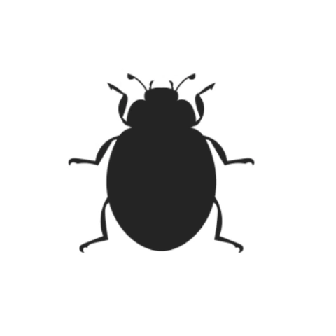 Escarabeo