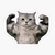 Sticker de Gato Gym