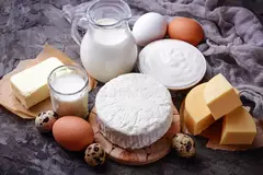 Banner de la categoría productos animales