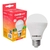 Lâmpada superled 9w biv 6500k ourolux