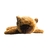 Peluche Carpincho Capybara Capibara Pulsera Premium - comprar online