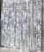 Cortina 300 Leds 3mx2m Festa Casamento