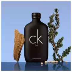 CK Be Calvin Klein - Unissex - Eau de Toilette - loja online