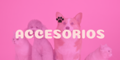 Banner de la categoría ACCESORIOS