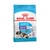 ROYAL CANIN PERRO STRATER GIGANT