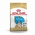 ROYAL CANIN Bulldog Junior