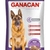 GANACAN PERRO ADULTO