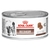 RECOVERY ROYAL CANIN GATOS LATAS