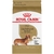 ROYAL CANIN PERROS Dachshund 28