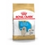 Royal Canin Perro Golden retriever Puppy
