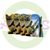 CONJUNTO PARA GATO FLUOR