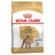Royal Canin Perro Poodle 30 Adult