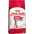 Royal Canin Perro Medium adulto 7 +