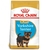 Royal Canin Perro Yorkshire Terrier 29 Junior