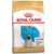 Royal Canin Perro Pug Junior