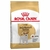 Royal Canin Perro Jack Russel adulto