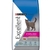 Excellent gato Sterilized