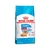 ROYAL CANIN MINI INDOOR CACHORRO