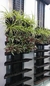 Jardines Verticales en internet