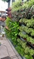 Jardines Verticales - comprar online