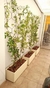 Jardines Verticales - Rayhuen flores naturales