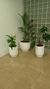 Hogar - Rayhuen flores naturales