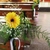 Iglesias y ceremonias - tienda online