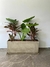 Plantas en Macetas Rotomoldeadas y Fibrocemento - Rayhuen flores naturales