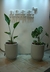 Oficinas - comprar online