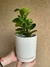 Macetas de Ceramica. - comprar online