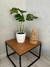 Monstera Maceta Premium - comprar online