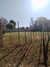 Lote en San Antonio de Arredondo - comprar online