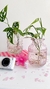 FLORERO PANAL - comprar en línea