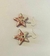 Aretes Estrella