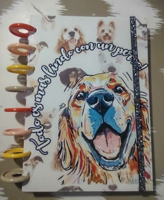 Banner de la categoría Golden perpetua A5