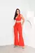 Conjunto Alcione na internet