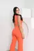 Conjunto Alcione na internet